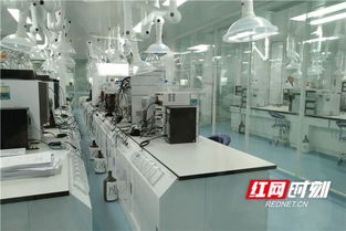 高质量发展看山东丨临沂 电商与传统产业共探新技术开发之路